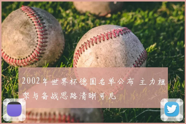 2002年世界杯德国名单公布 主力框架与备战思路清晰可见